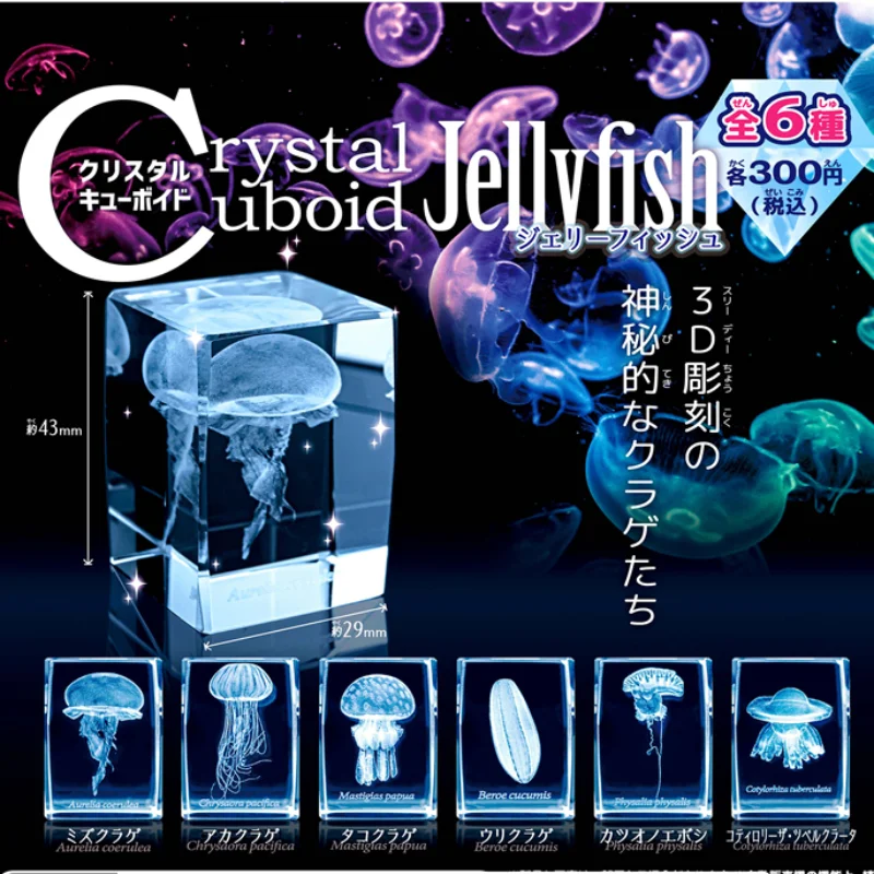 Aquarium Fish Discus - Japan Gashapon Jellyfish 3D Crystal Cuboid