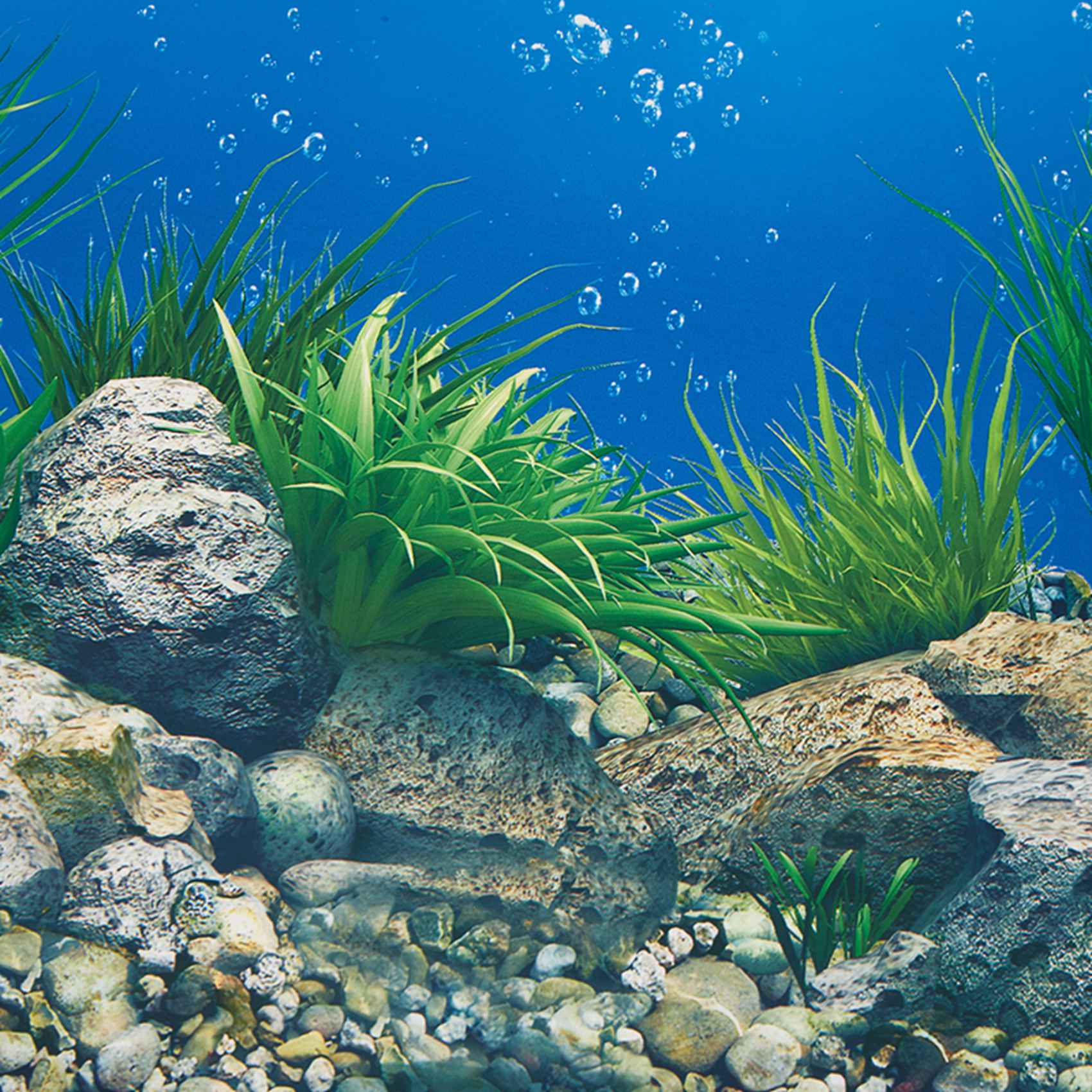 AB33-Aquarium Background Paper - Aquarium Fish Wallpaper Hd 评论和价格