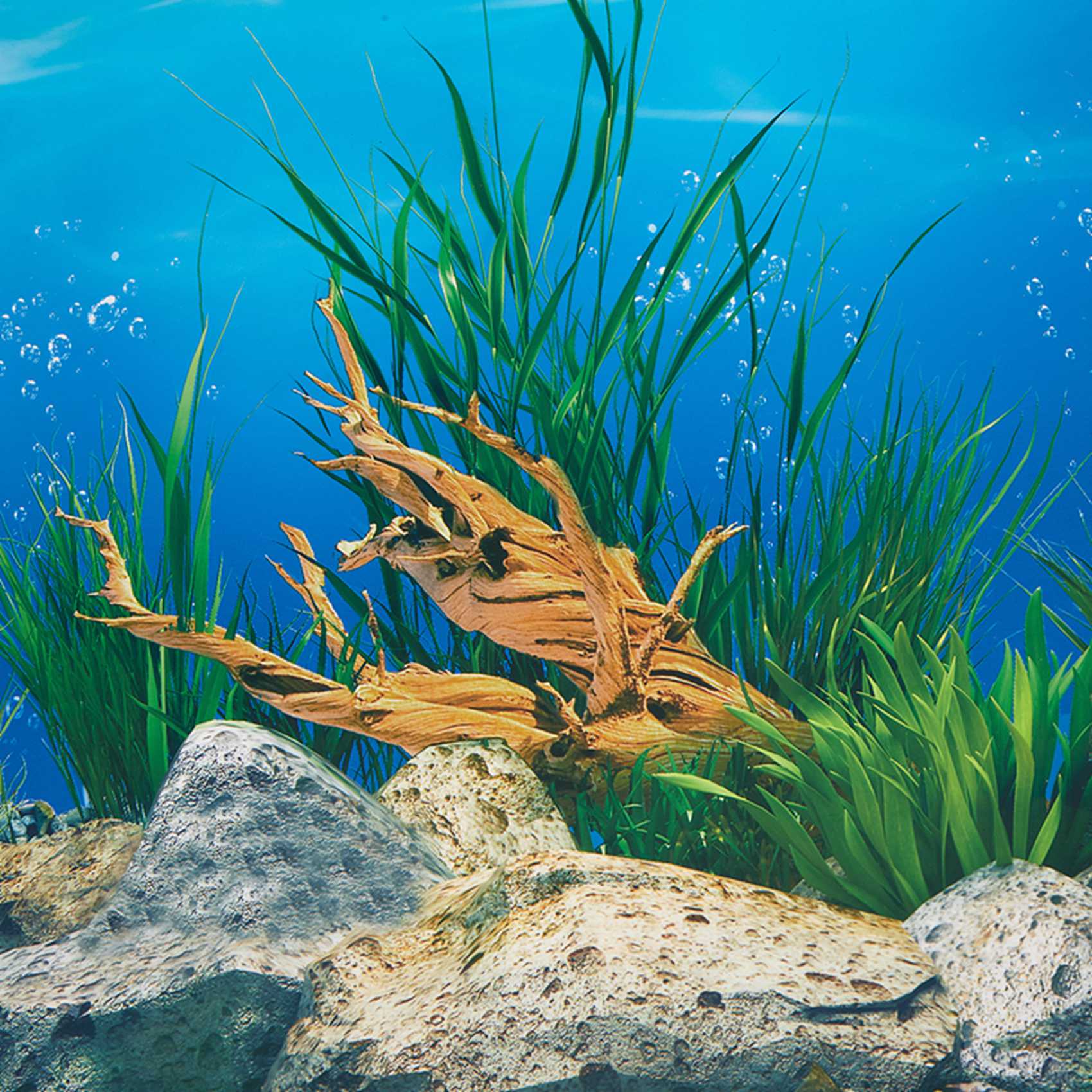 ABWR-Aquarium Background Paper - Aquarium Fish Wallpaper Hd 评论和价格