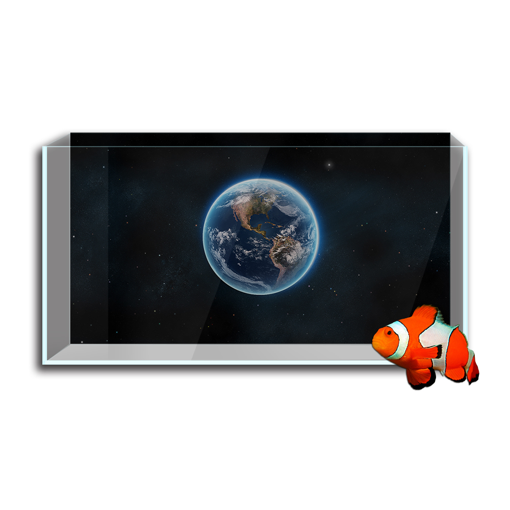 Aquarium Fish Tank  Background - Aquarium Fish Wallpaper Hd 评论和价格