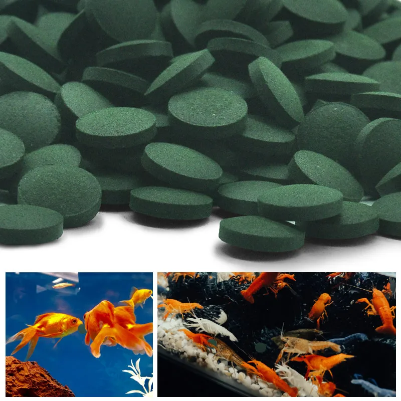 100pcs High Purity Spirulina T - Aquarium Fish Holiday Food 评论和价格