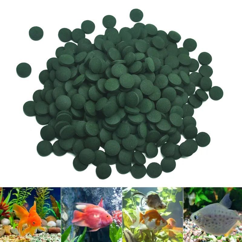 100pcs High Purity Spirulina T - Aquarium Fish Holiday Food 评论和价格