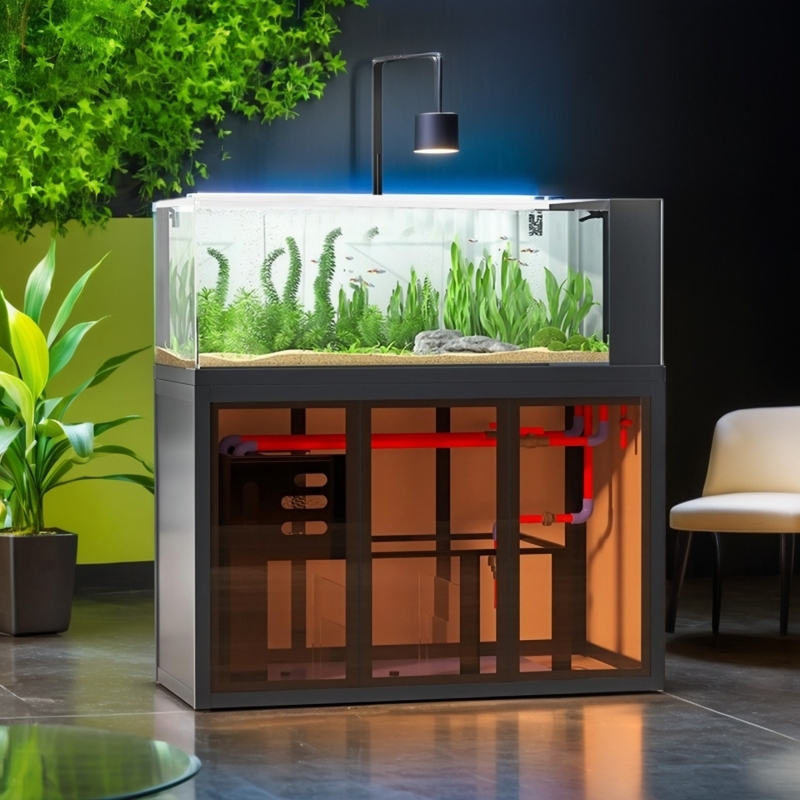 Industrial-style aquascape fis - Aquarium Fish Low Maintenance 评论和价格