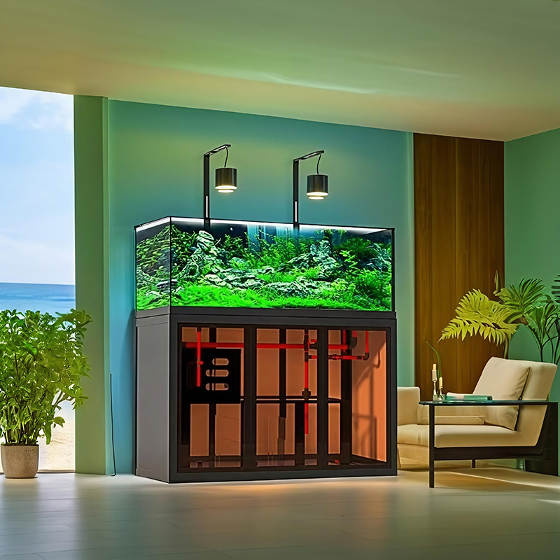 Industrial-style aquascape fis - Aquarium Fish Low Maintenance 评论和价格