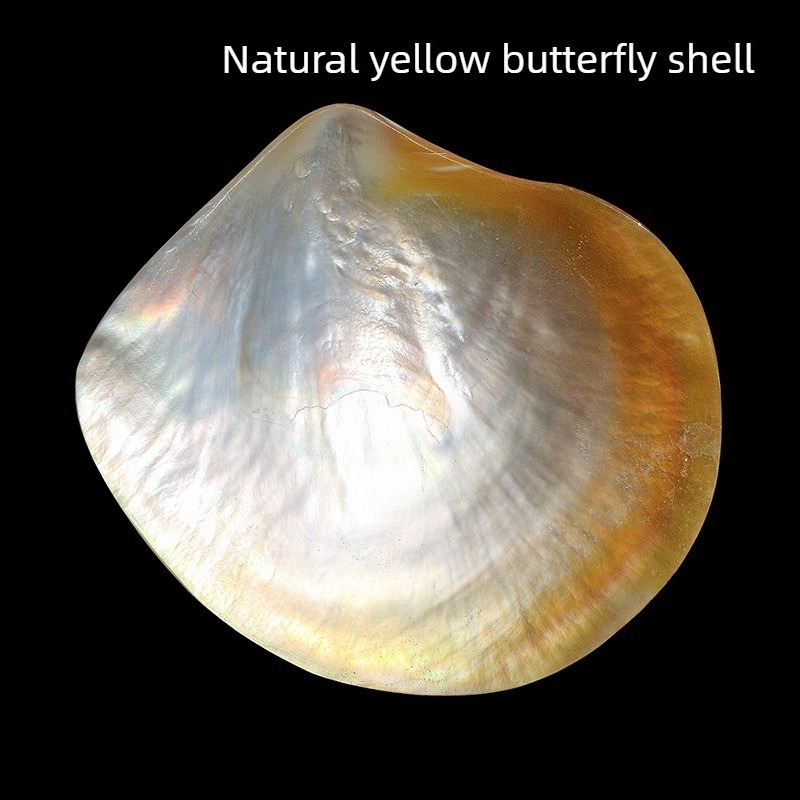 Natural Yellow Butterfly Beibe - Aquarium Fish Yellow 评论和价格