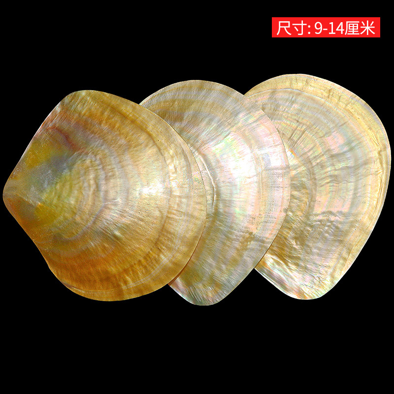Natural Yellow Butterfly Beibe - Aquarium Fish Yellow 评论和价格