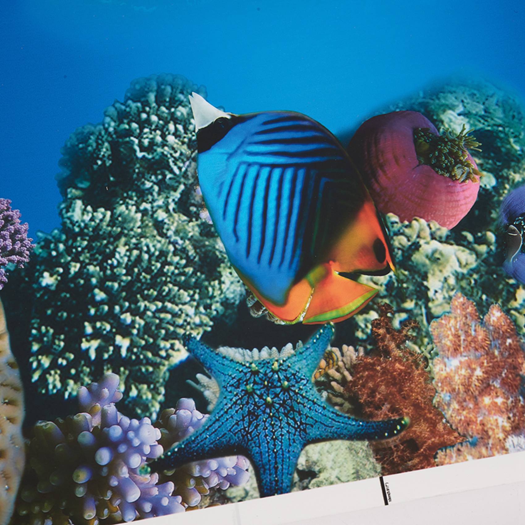 A77I Aquarium Background Paper - Aquarium Fish Wallpaper Hd 评论和价格