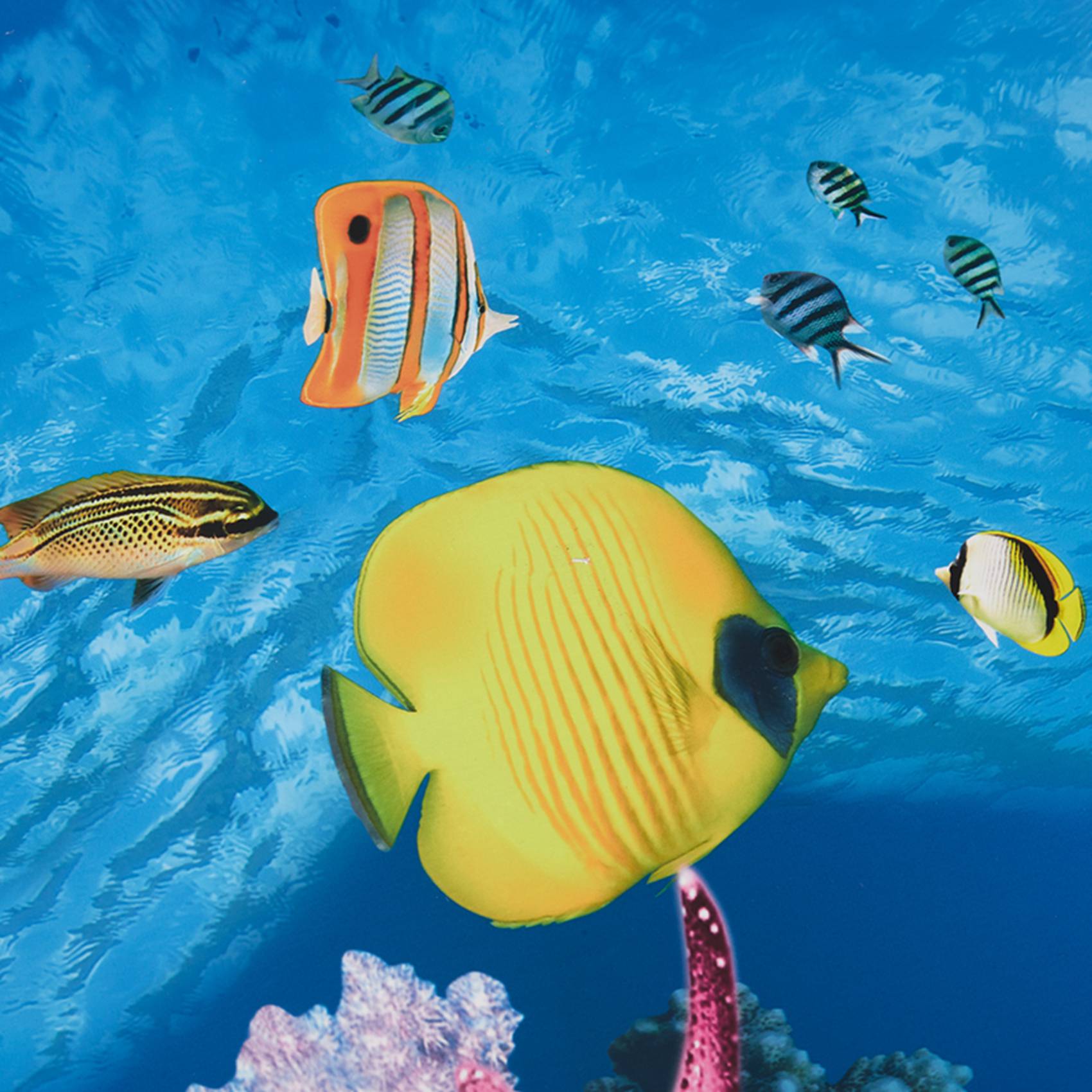 A77I Aquarium Background Paper - Aquarium Fish Wallpaper Hd 评论和价格