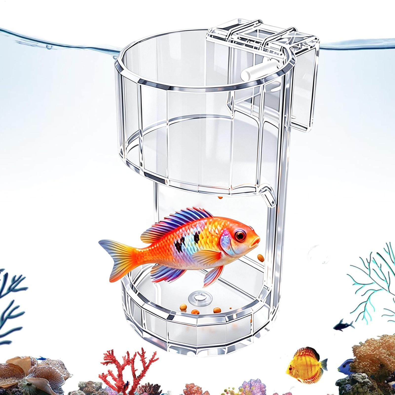 Aquarium Feeding Dish Transpar - Aquarium Fish Holiday Food 评论和价格