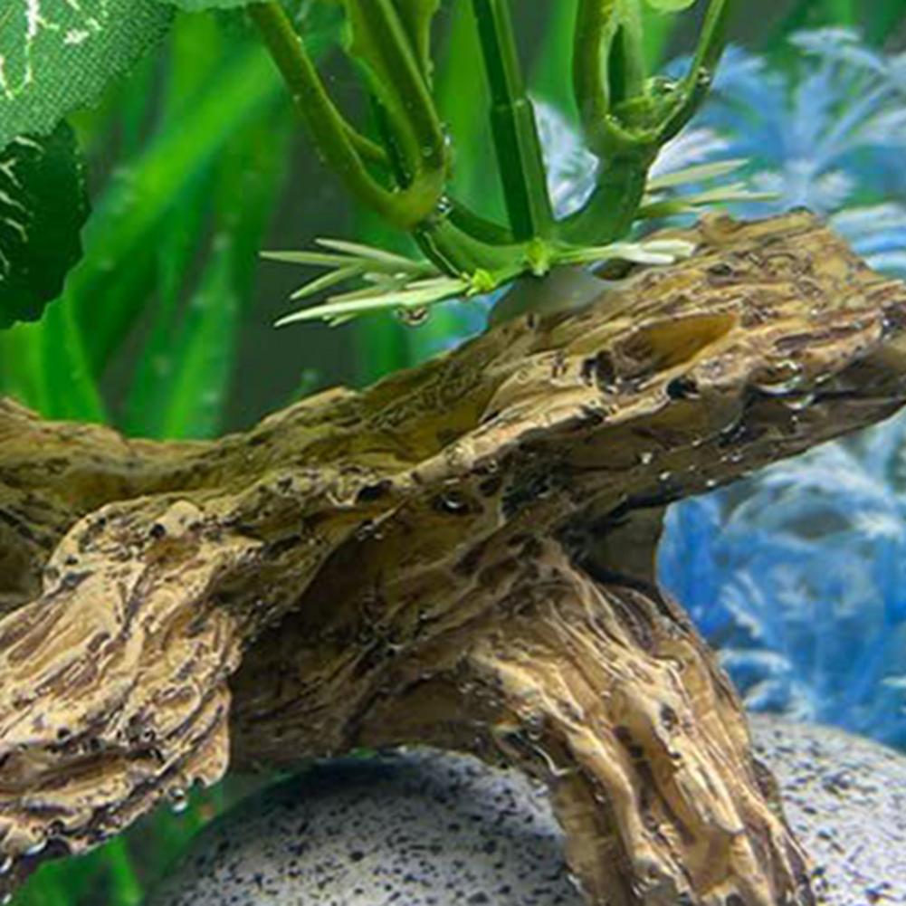Low-maintenance Fish Tank Orna - Aquarium Fish Low Maintenance 评论和价格