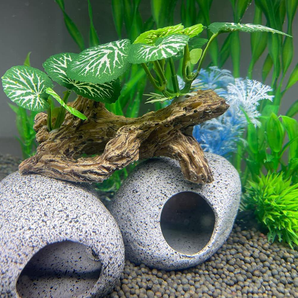 Low-maintenance Fish Tank Orna - Aquarium Fish Low Maintenance 评论和价格