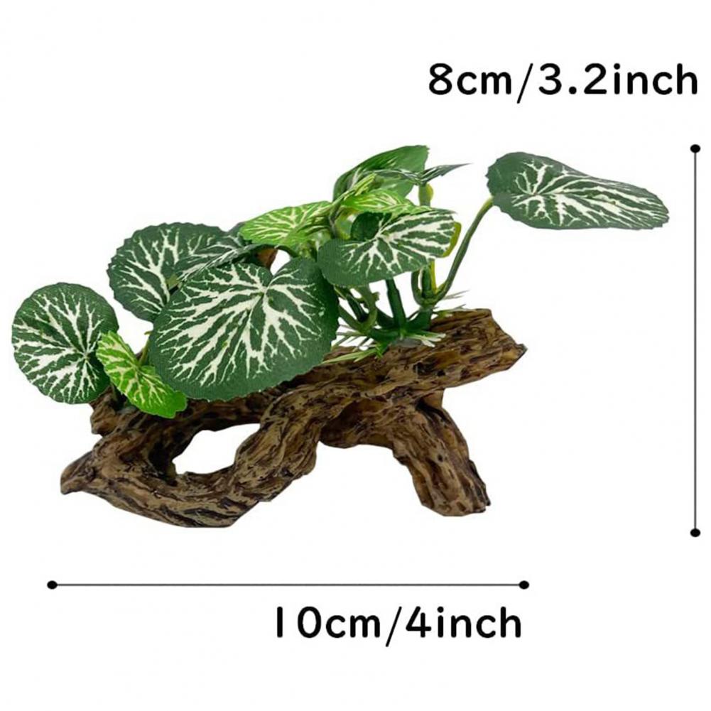 Low-maintenance Fish Tank Orna - Aquarium Fish Low Maintenance 评论和价格