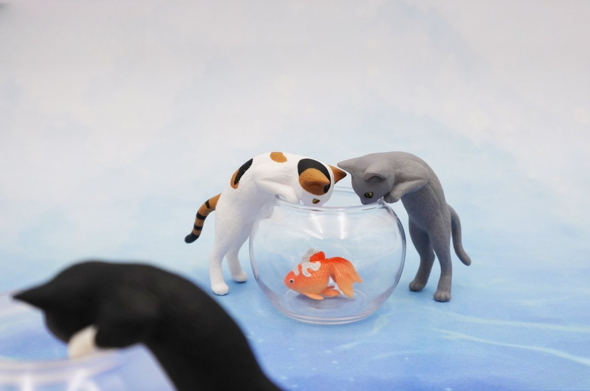 Original capsule toys cute kaw - Aquarium Fish Japan 评论和价格