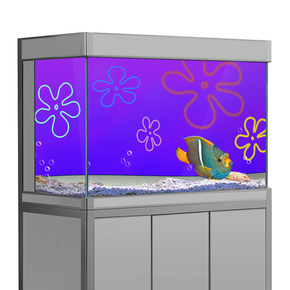 Cartoon bob Underwater Aquariu - Aquarium Fish Wallpaper Hd 评论和价格