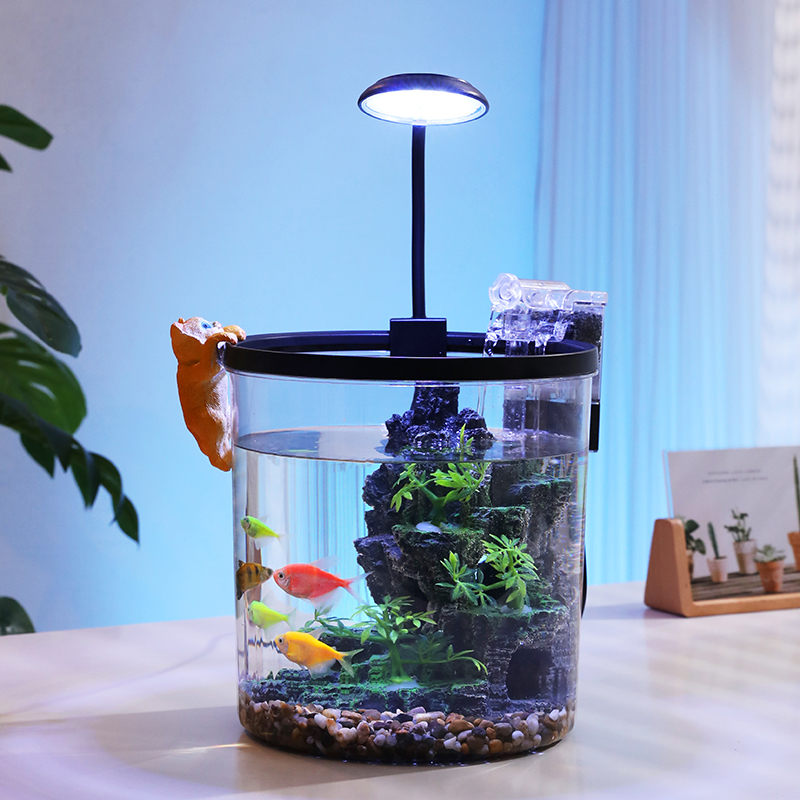 Compact Round Goldfish Bowl -  - Aquarium Fish Low Maintenance 评论和价格