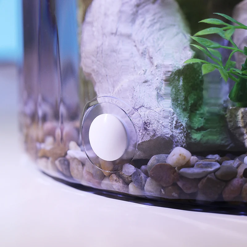 Compact Round Goldfish Bowl -  - Aquarium Fish Low Maintenance 评论和价格