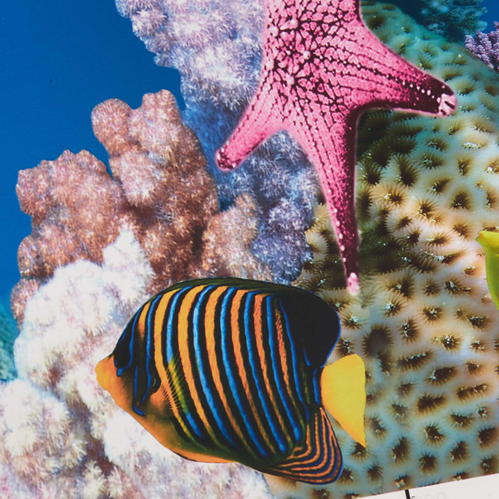 BAAU Aquarium Background Paper - Aquarium Fish Wallpaper Hd 评论和价格