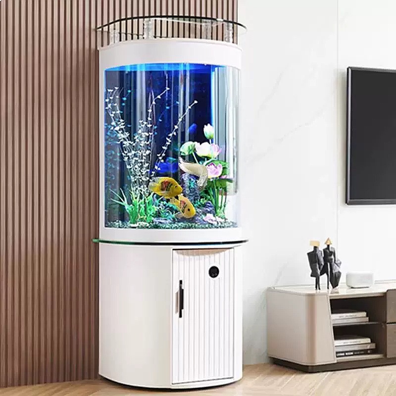 Semi-Circle Bottom Filter Glas - Aquarium Fish Low Maintenance 评论和价格