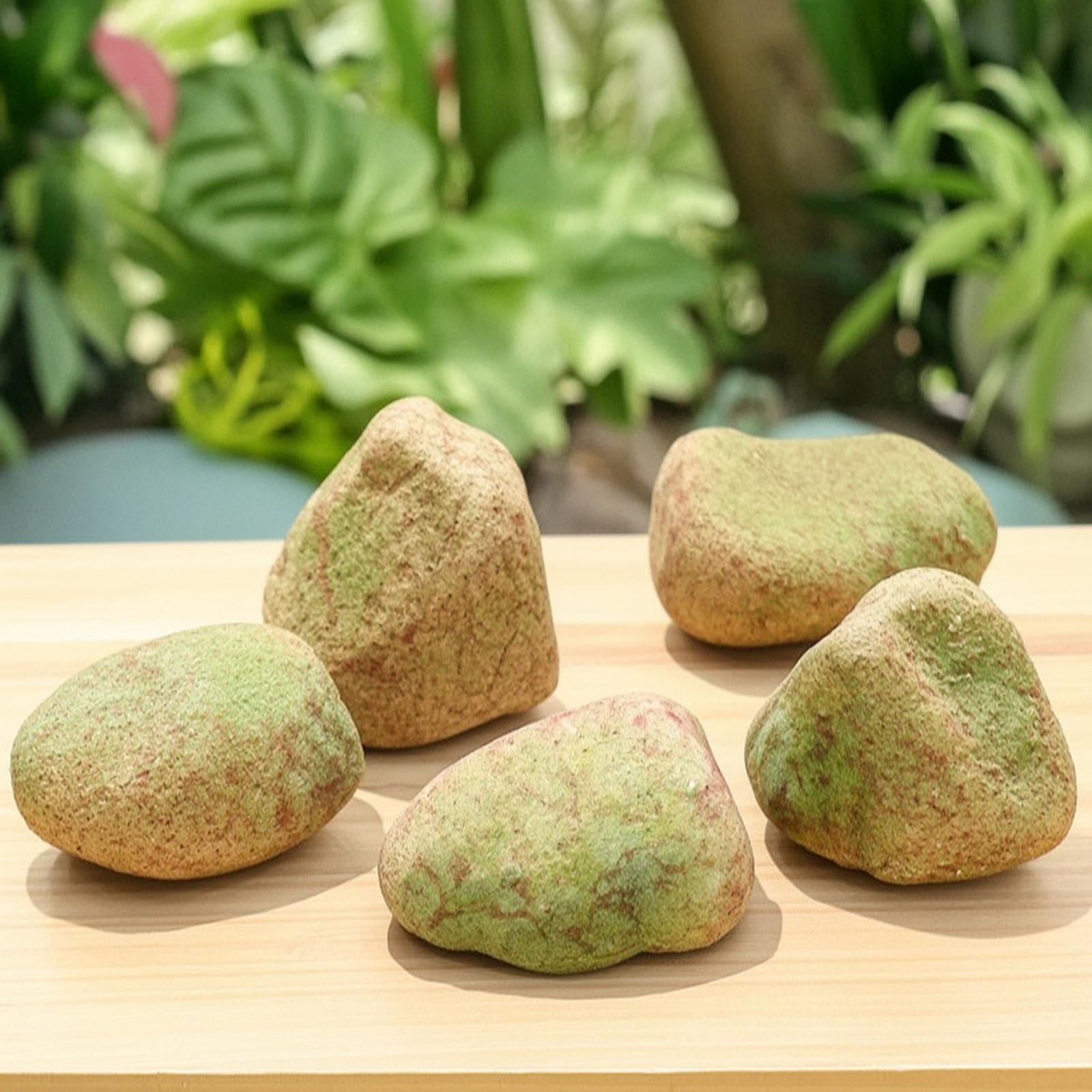 Realistic Faux Stone Display I - Aquarium Decoration Rock 评论和价格