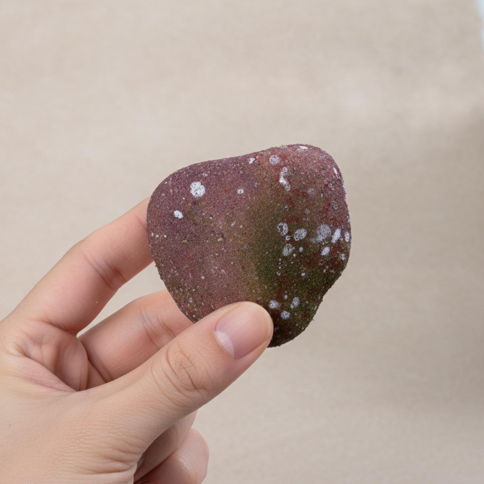 Realistic Faux Stone Display I - Aquarium Decoration Rock 评论和价格