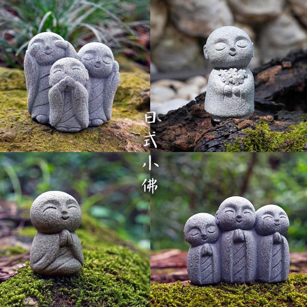 Cute Japanese Monk Kyoto Prefe - Aquarium Fish Japan 评论和价格