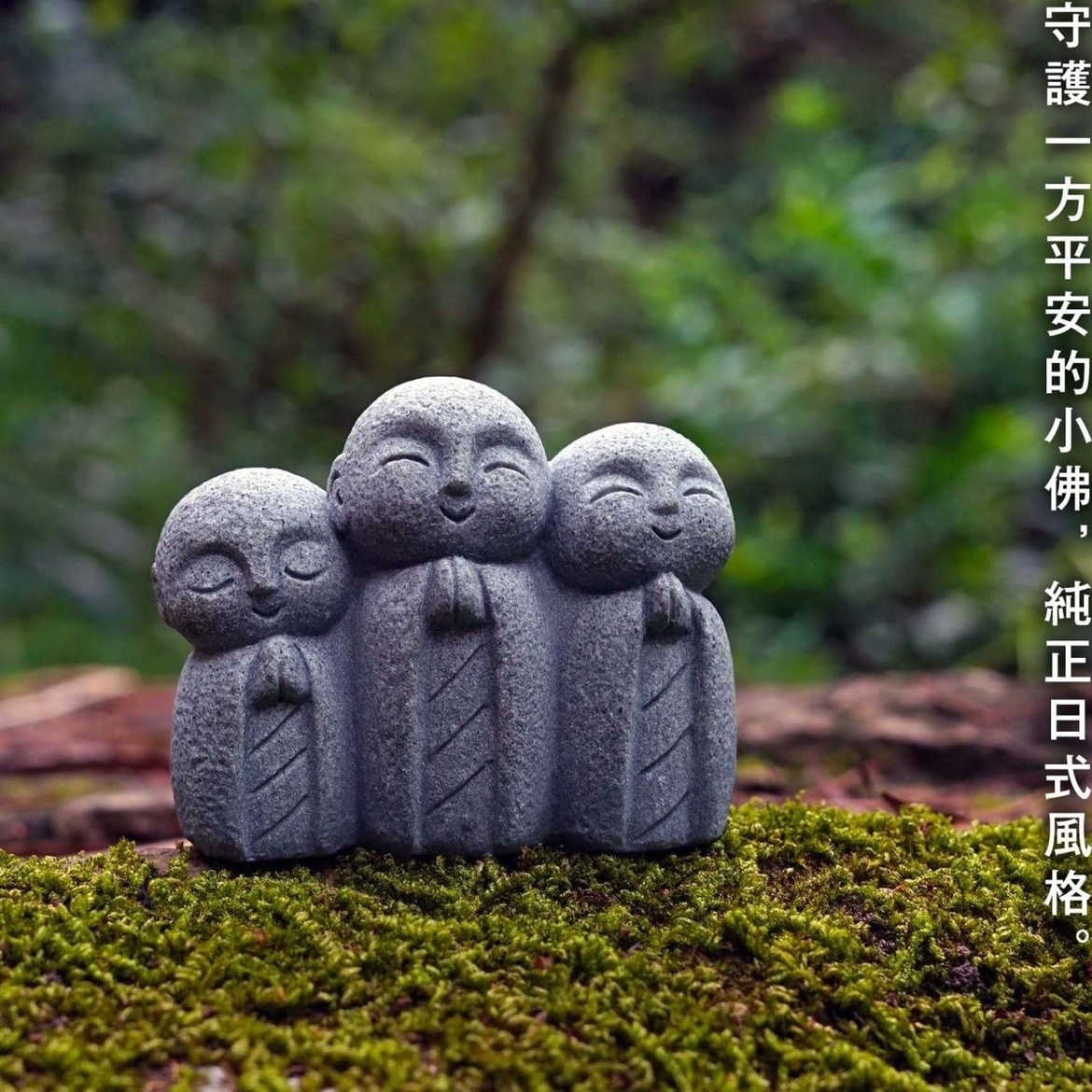 Cute Japanese Monk Kyoto Prefe - Aquarium Fish Japan 评论和价格