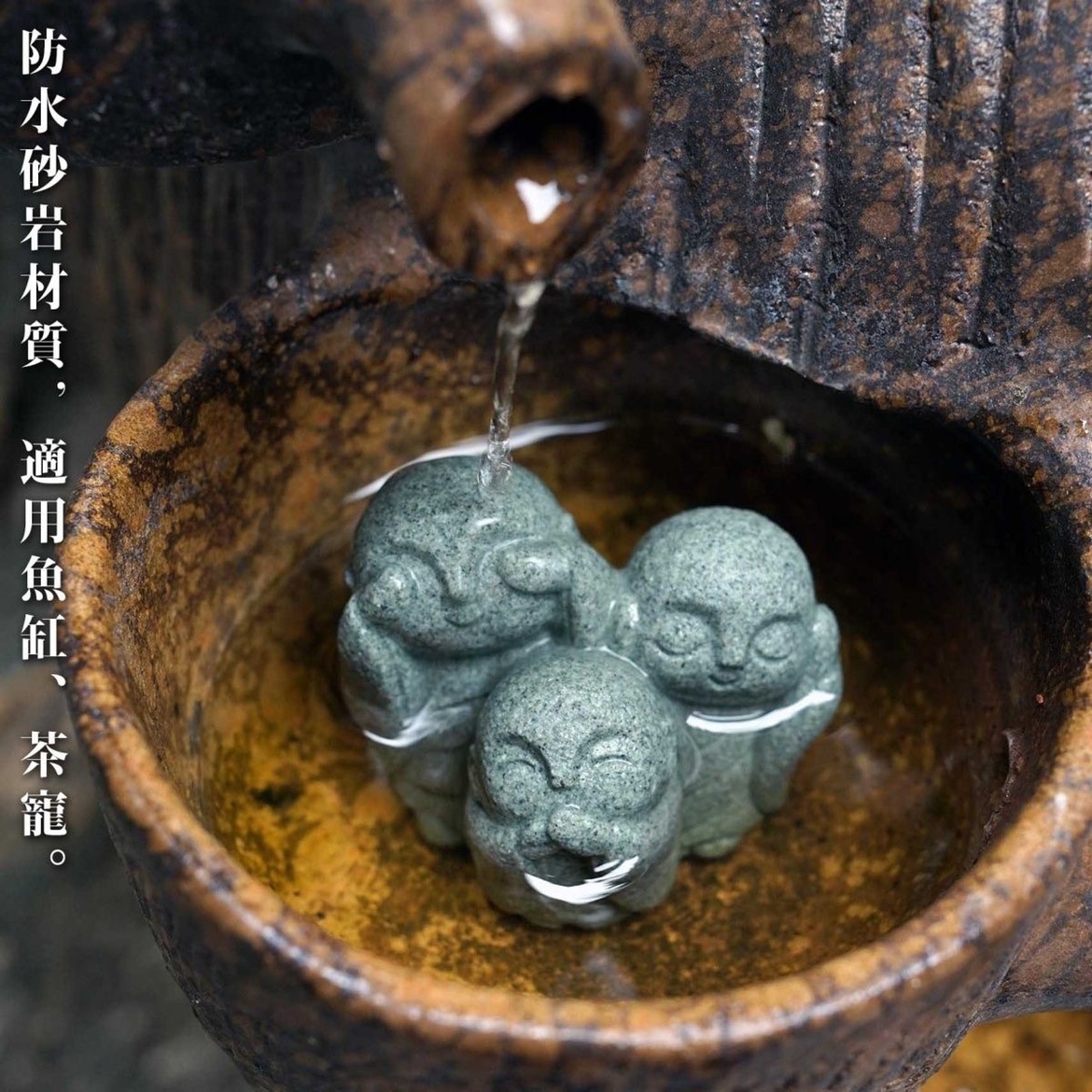 Cute Japanese Monk Kyoto Prefe - Aquarium Fish Japan 评论和价格