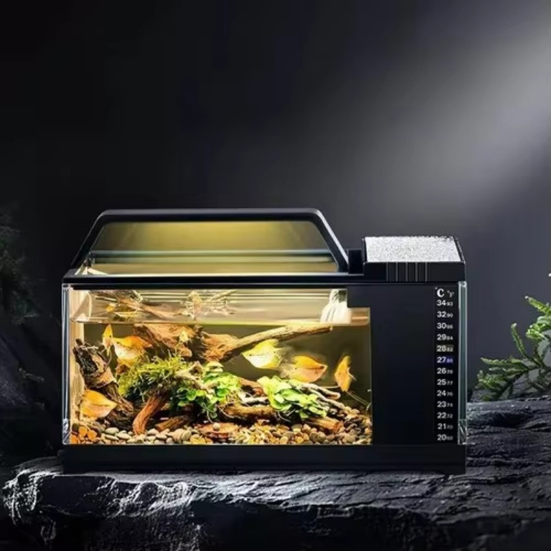 South American Style Aquarium  - Aquarium Fish Low Maintenance 评论和价格