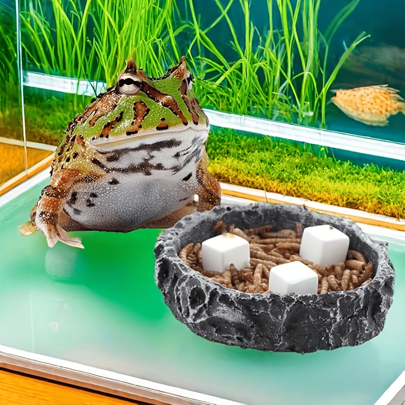 6 Pcs Fish Tank Calcium Block  - Aquarium Fish Lego 评论和价格
